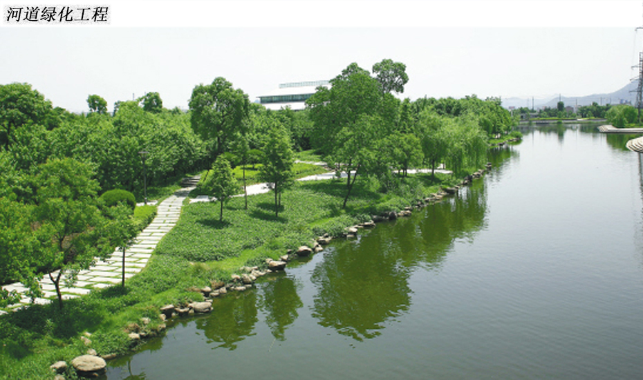 河道绿化工程