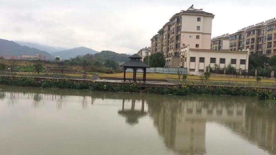 白泉美丽河道工程